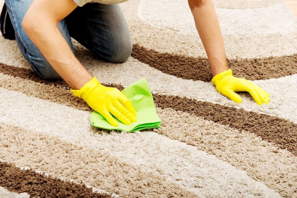 Como limpar carpete