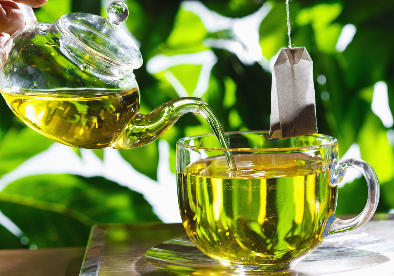 Chá verde benefícios