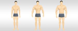 Biotipo - Qual O Seu? Ectomorfo, Mesomorfo Ou Endomorfo